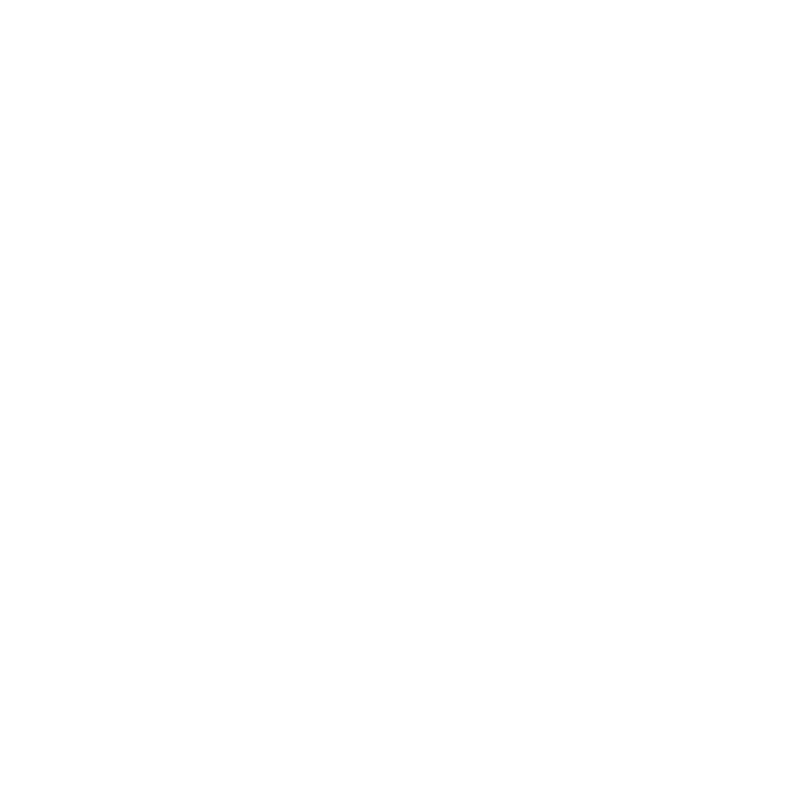 Marty Group